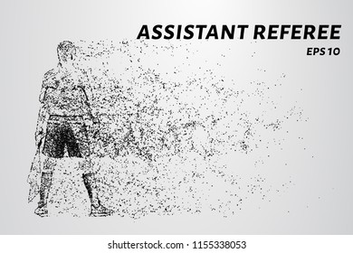 Assistant referee of the particles. Assistant referee with flag in hand.