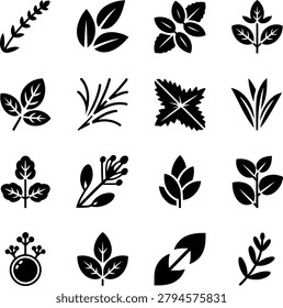 Assorted botanical leaf icons featuring diverse shapes and styles for naturethemed designs and projects