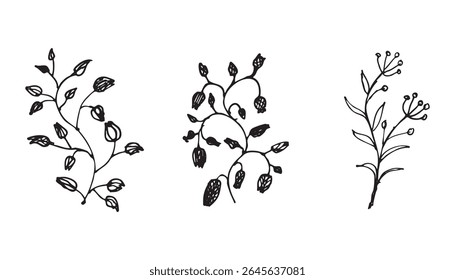 Vetor de Twigs Botânico sortido ilustração conjunto preto e branco isolado no branco