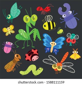 assorted bugs that we can find in our  garden vector