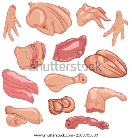 Assorted Chicken Raw Meat Cuts Illustration