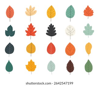 Assorted colorful leaf collection in vibrant autumn and summer hues.