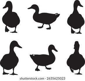 Assorted Duck Silhouette Collection Vector Waterfowl Art