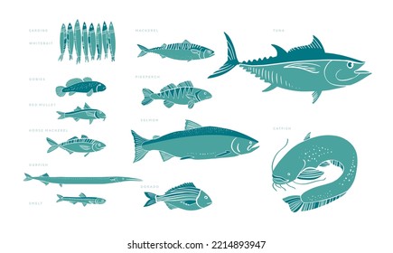 Assorted European fish illustration in two colors. 