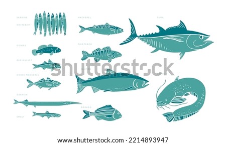 Assorted European fish illustration in two colors.  Stock photo © 