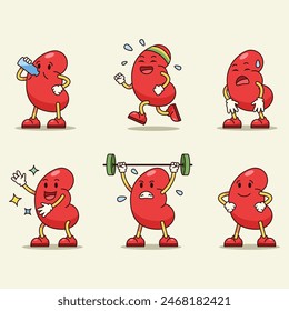 Assorted exercise to keep fit and healthy kidney.