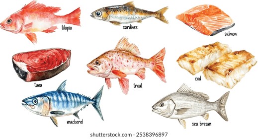 Ilustración de acuarela de pescado surtido. Pintado a mano de besugo, tilapia, atún, trucha, sardinas, salmón, caballa y bacalao aislados sobre fondo blanco