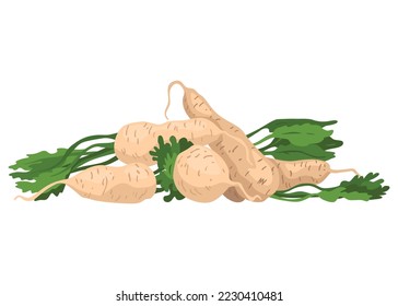 Verduras frescas variadas. Marcador de granjeros, supermercado, tienda de basura cero. Comida de mercado local, productos de granja frescos y orgánicos. Alimentos deliciosos y saludables