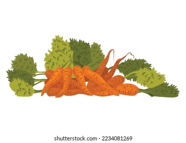 Verduras frescas variadas. Marcador de granjeros, supermercado, tienda de basura cero. Comida de mercado local, productos de granja frescos y orgánicos. Alimentos deliciosos y saludables