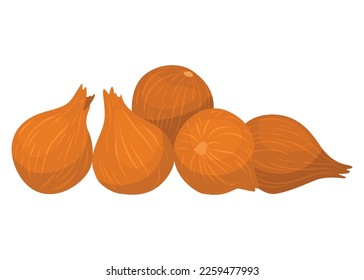 Verduras frescas variadas. Marcador de granjeros, supermercado, tienda de basura cero. Comida de mercado local, productos de granja frescos y orgánicos. Alimentos deliciosos y saludables