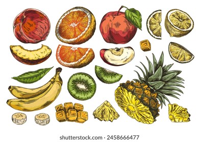Assorted fruit set. Vector illustrations of whole and sliced apples, peaches, oranges and lemons, as well as banana, kiwi and pineapple on an isolated background.