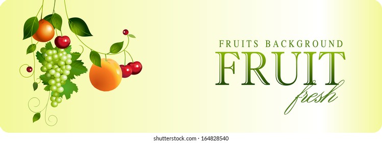 assorted fruit. vector