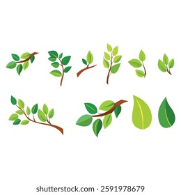 Assorted Green Leaves and Branches