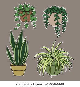 Assorted green plants in pots