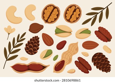 Assorted healthy nuts and seeds including walnuts, cashews, almonds, and pistachios are displayed with leaves and pine cones.