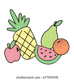 Assorted Illustrated Fruit