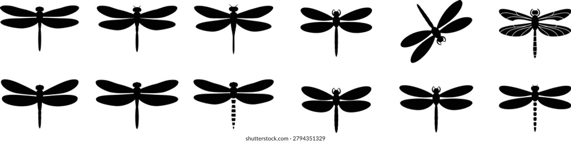 Assorted insect vector illustrations featuring anisoptera species in top view and flying angles. Great for summer theme designs biology textbooks and garden artwork.