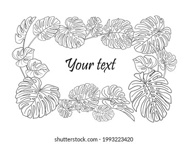 Assorted leaves of Monstera flower. The drawing was made by hand and translated into a vector file.