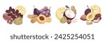 Assorted nuts and dried fruits arranged in groups. Hand drawn illustrations, frame  templates