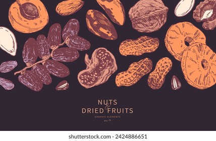 Assorted nuts and dried fruits hand drawn illustrations. Horizontal border, background design template