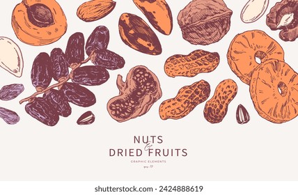 Assorted nuts and dried fruits hand drawn illustrations. Horizontal border, background design template