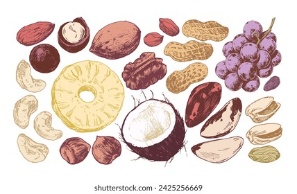 Nueces surtidas y frutos secos dibujados a mano ilustraciones, coloreadas y aisladas sobre fondo blanco