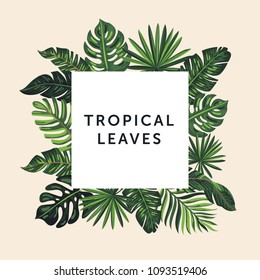 Assorted palm leaves frame on a dark background. Vector illustration. Trendy tropical design.