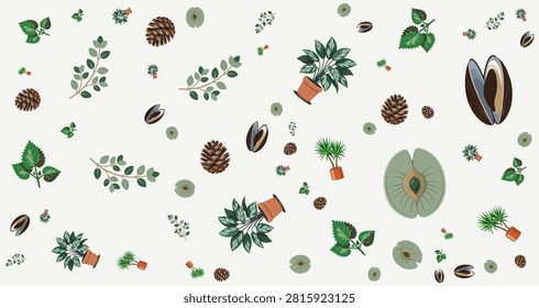 assorted plants pinecones shells and potted greenery in natural earthy tones ideal for botanical design themes and nature related visuals