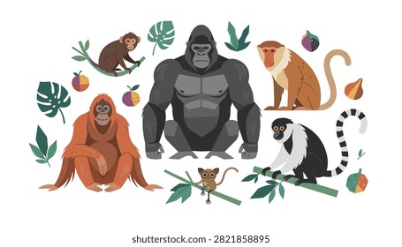 Assorted primate species including gorillas orangutans and lemurs accompanied by tropical leaves and colorful fruits in a vector art set.