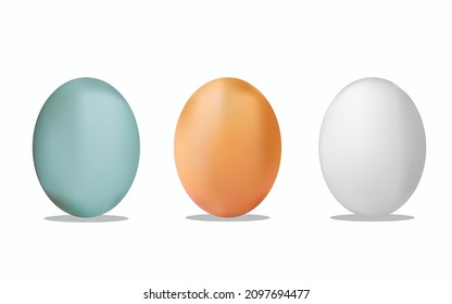 assorted realistic Eggs isolated on a white background with shadows and in white blue and brown colors. Vector illustration.