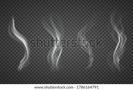 Assorted realistic plumes of smoke on a transparent background for design elements, vector illustration