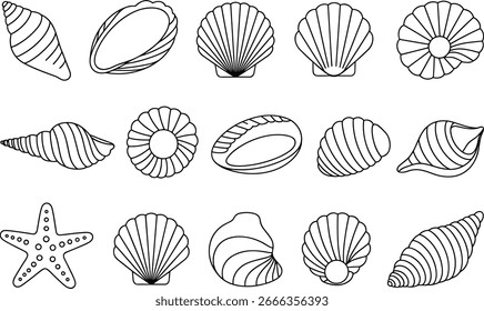 Verschiedene Muscheln und Seesterne Sammlung Meer marine Vektor.