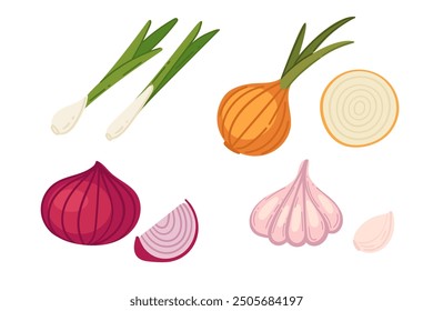 Assorted set of fresh onions. Vegetables agriculture produce, harvest. Ripe fresh organic food. Vector illustration isolated on white background