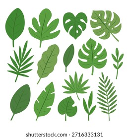 Assorted tropical leaves set in flat vector style. Includes various green foliage shapes, perfect for summer, nature, jungle, and botanical-themed graphic designs.