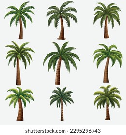 Assorted Vector Illustrations of Palm Trees in Various Variants, Isolated on a White Background