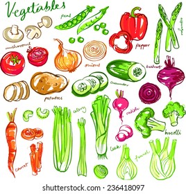 Assorted vegetable vector doodle set