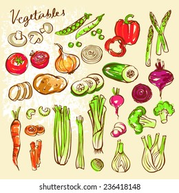 Assorted vegetable vector doodle set