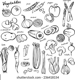 Assorted Vegetable Vector Doodle Set