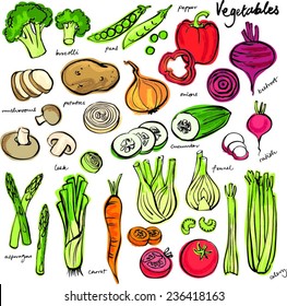 Assorted vegetable vector doodle set