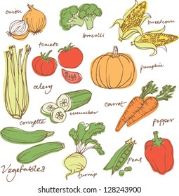 Assorted vegetable vector illustration