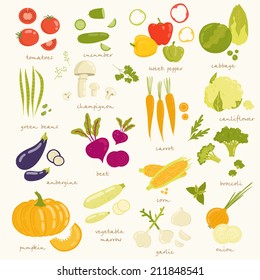 Assorted vegetable vector illustration. tomato, cucumber, pepper, cabbage, broccoli, cabbage, zucchini, eggplant, beans, peas, squash, garlic, onions, corn, beets, greens, carrots, mushrooms isolated