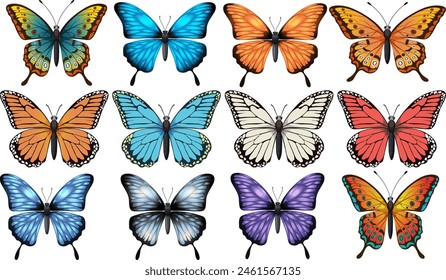 Assorted vibrant butterflies in various colors and patterns