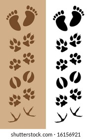 Assortment of 6 different sets of footprints, each provided in two default colors: brown on light brown, and black on white.