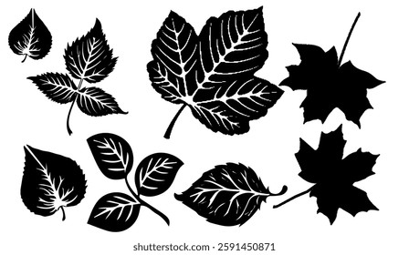 Assortment of Black and White Leaf Silhouettes Creating an Abstract Botanical Graphic for Nature-Inspired Designs and Creative Projects