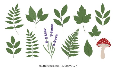 Uma variedade de elementos botânicos, incluindo diversas folhas verdes, flores roxas de lavanda e um cogumelo vermelho distintivo.