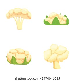 Assortment of colorful cartoon mushrooms illustration in vector format on a white background. This set includes a diverse collection of edible fungi varieties. Perfect for cooking and culinary designs