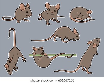 An assortment of cute cartoon mice in various poses: hanging, standing, sleeping, climbing, walking. Gray background on separate layer for easy editing & removal. 