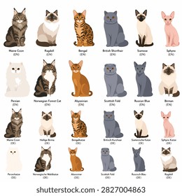 Assortment of different cat breeds sitting in a grid layout showing fur colors and styles