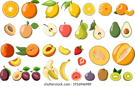 Sortiment verschiedener Früchte, Vektorgrafiken, Apfel, Erdbeere, Granatapfel, Avocado, Orange, Zitrone, Kiwi, Pfirsich, Mandarin, Melon, Birne, Feigen, einzeln auf weißem Hintergrund.