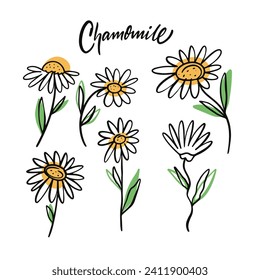 Assortment of doodle-style vector illustrations featuring various types of daisy flowers.
